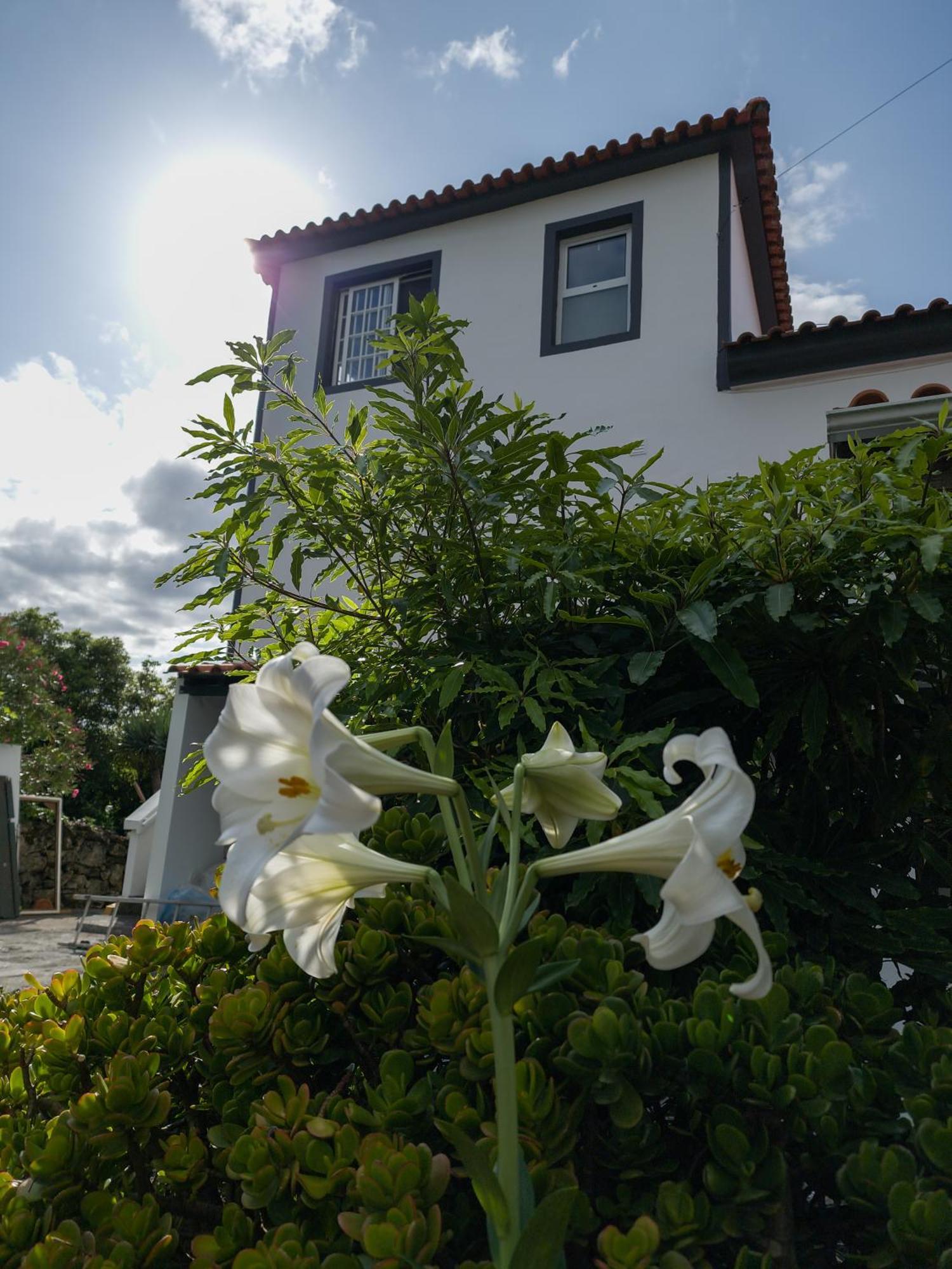 Loving Strangers Hostel Мадалена Екстер'єр фото